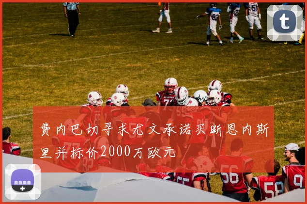 费内巴切寻求尤文承诺买断恩内斯里并标价2000万欧元